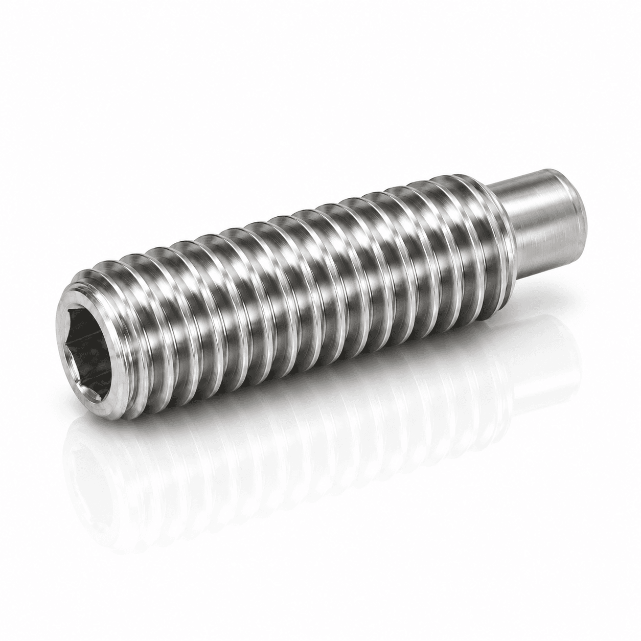 M5-0.8 Full Dog Point Socket Set Screws Stainless Steel 18-8