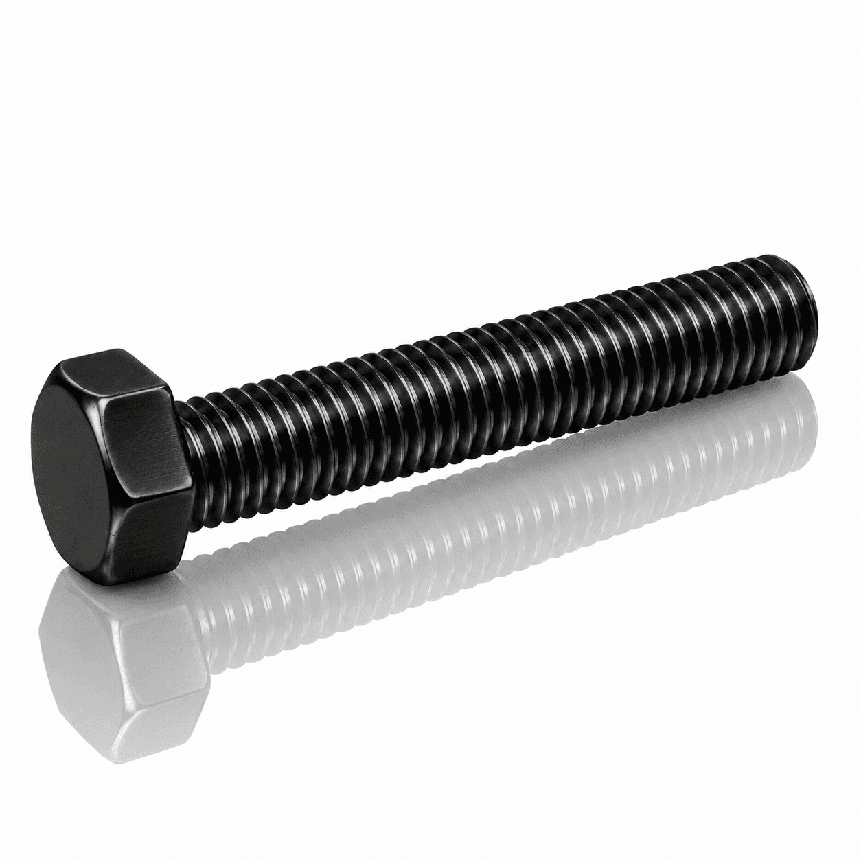 5/16"-18 Hex Head Cap Bolts Stainless Steel 18-8 Black Fluoropolymer