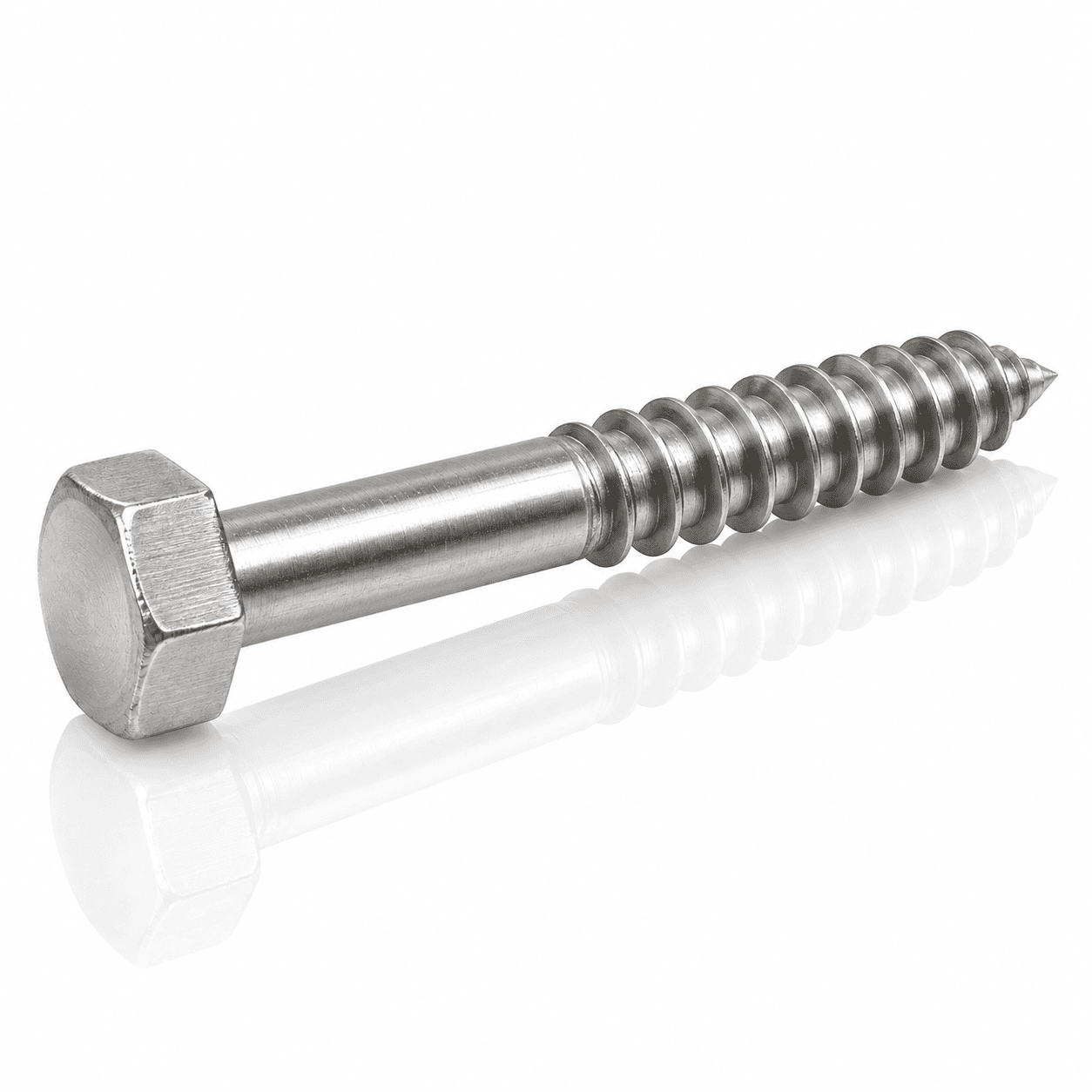 5/16" 18-8 Stainless Steel Hex Lag Bolts