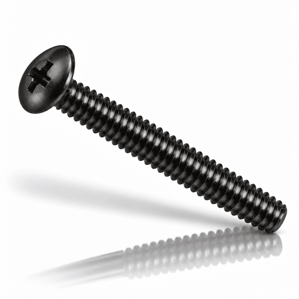 1/4"-20 Phillips Low Contour Truss Head Machine Screws Stainless Steel 18-8 Black Oxide