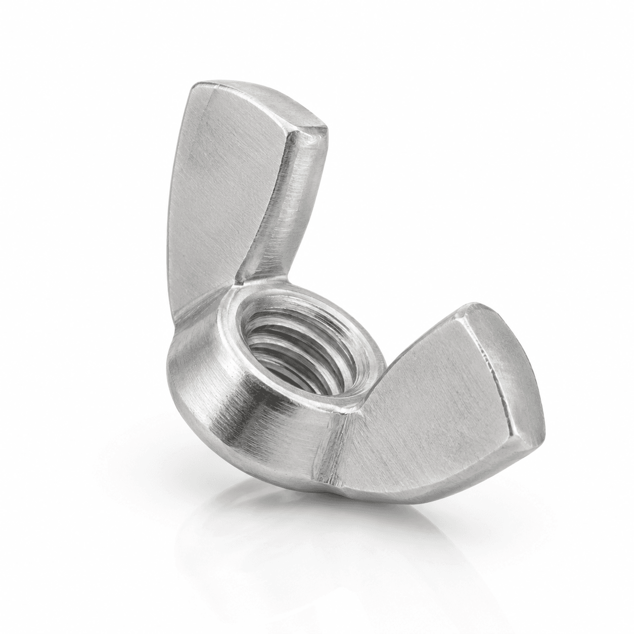 316 Stainless Steel Wing Nuts